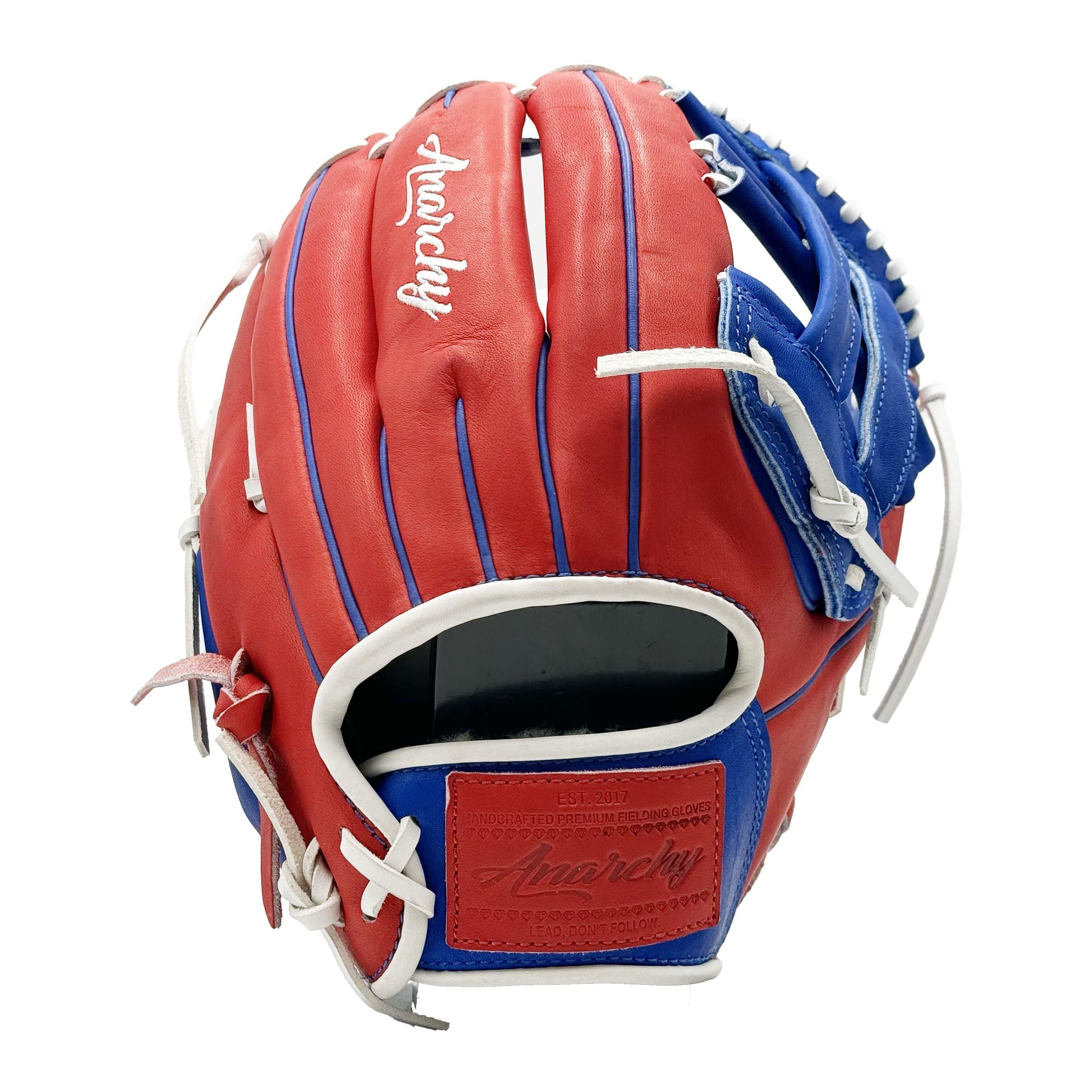 Anarchy Kip Leather Premium Softball Fielding Glove - AFG002 - Smash It Sports